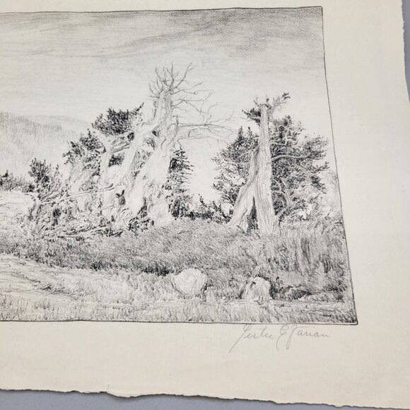 Landscape Scrub Trees Art Print Unframed Black White Signed Lester E Varian - Picture 3 of 7